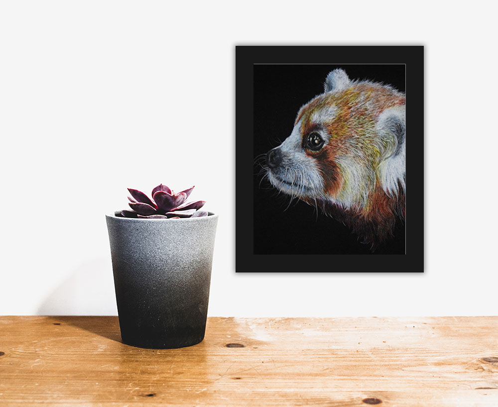 Shop Originals - Sonja Oldenburg Art & Illustration